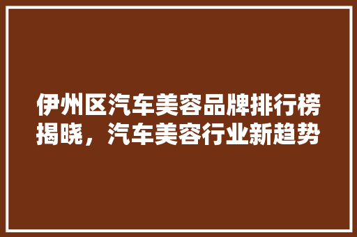 伊州区汽车美容品牌排行榜揭晓，汽车美容行业新趋势