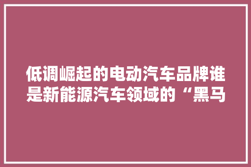 低调崛起的电动汽车品牌谁是新能源汽车领域的“黑马”