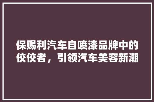 保赐利汽车自喷漆品牌中的佼佼者，引领汽车美容新潮流