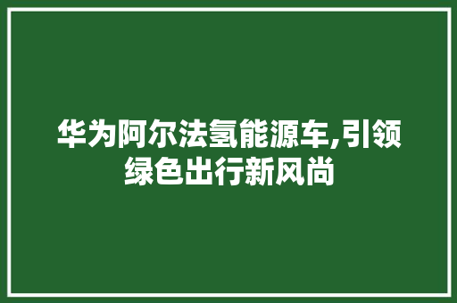 华为阿尔法氢能源车,引领绿色出行新风尚 车型评测
