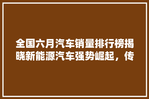 全国六月汽车销量排行榜揭晓新能源汽车强势崛起，传统车企面临挑战 新能源汽车