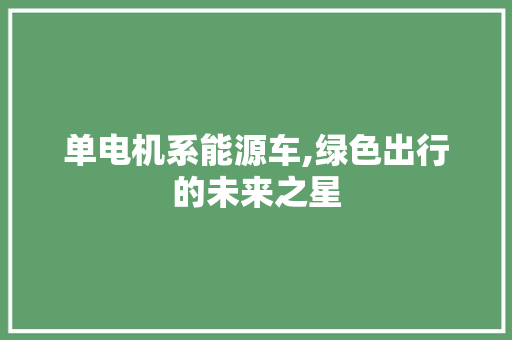 单电机系能源车,绿色出行的未来之星 车载导航