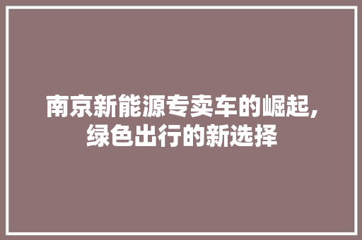 南京新能源专卖车的崛起,绿色出行的新选择