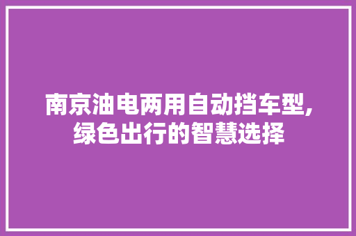 南京油电两用自动挡车型,绿色出行的智慧选择 车载导航