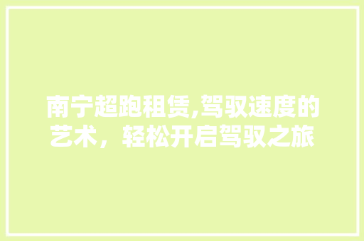 南宁超跑租赁,驾驭速度的艺术，轻松开启驾驭之旅