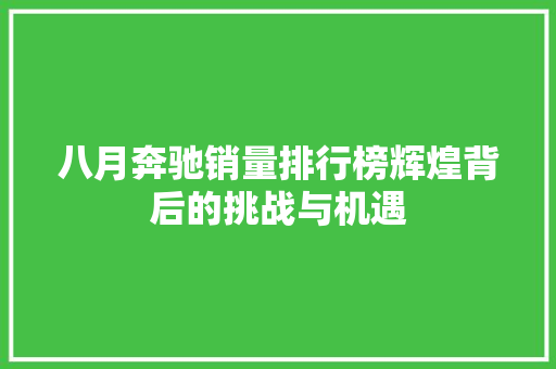 八月奔驰销量排行榜辉煌背后的挑战与机遇 自动驾驶