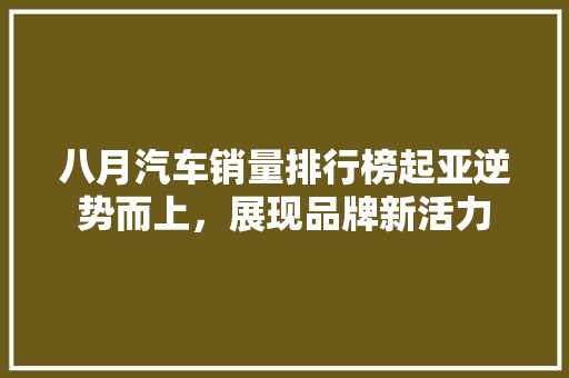 八月汽车销量排行榜起亚逆势而上，展现品牌新活力