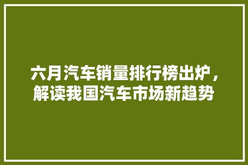 六月汽车销量排行榜出炉，解读我国汽车市场新趋势 自动驾驶