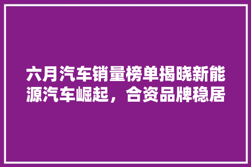 六月汽车销量榜单揭晓新能源汽车崛起，合资品牌稳居高位 混合动力车