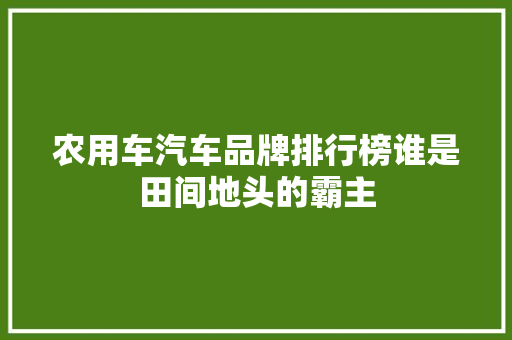 农用车汽车品牌排行榜谁是田间地头的霸主 汽车轮胎
