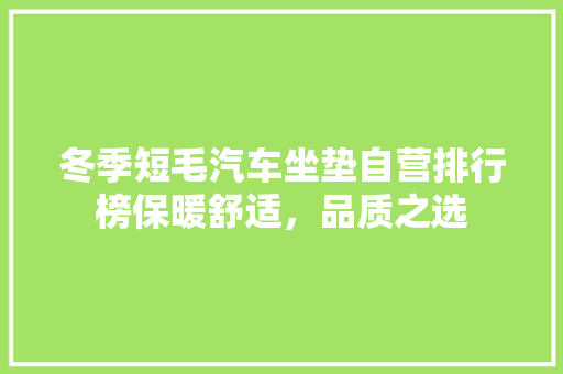 冬季短毛汽车坐垫自营排行榜保暖舒适，品质之选