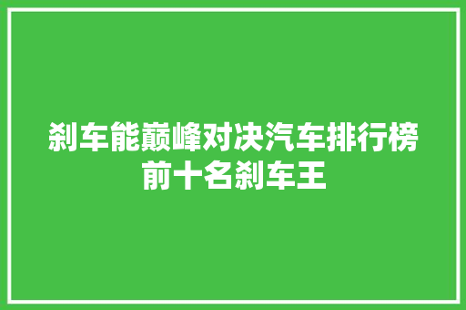 刹车能巅峰对决汽车排行榜前十名刹车王