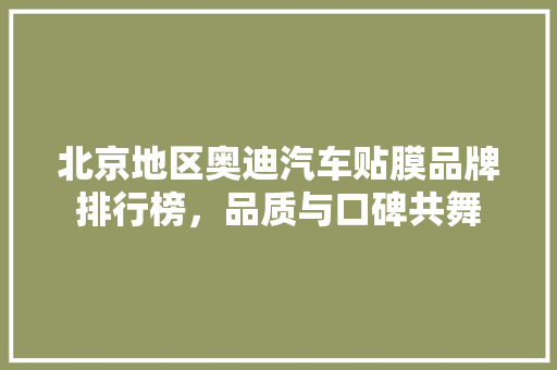 北京地区奥迪汽车贴膜品牌排行榜，品质与口碑共舞 车联网技术