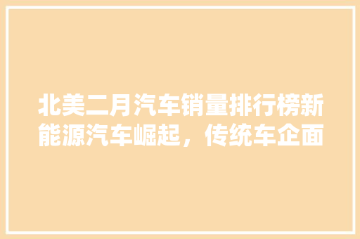 北美二月汽车销量排行榜新能源汽车崛起，传统车企面临挑战