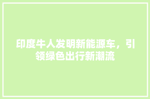 印度牛人发明新能源车，引领绿色出行新潮流