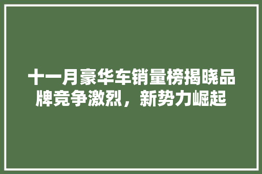 十一月豪华车销量榜揭晓品牌竞争激烈，新势力崛起