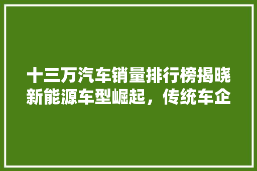 十三万汽车销量排行榜揭晓新能源车型崛起，传统车企面临挑战