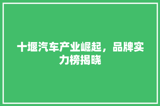 十堰汽车产业崛起，品牌实力榜揭晓