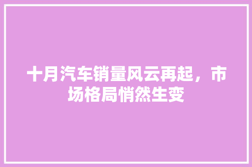 十月汽车销量风云再起，市场格局悄然生变 车载导航