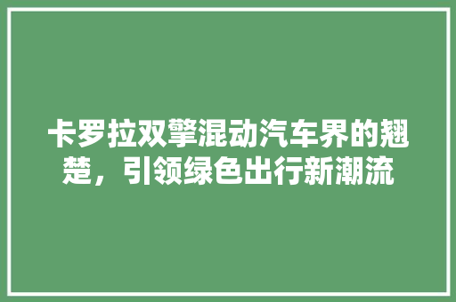 卡罗拉双擎混动汽车界的翘楚，引领绿色出行新潮流