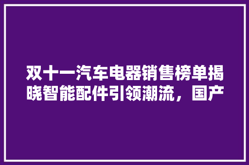 双十一汽车电器销售榜单揭晓智能配件引领潮流，国产品牌崛起
