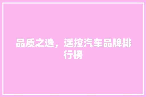品质之选，遥控汽车品牌排行榜
