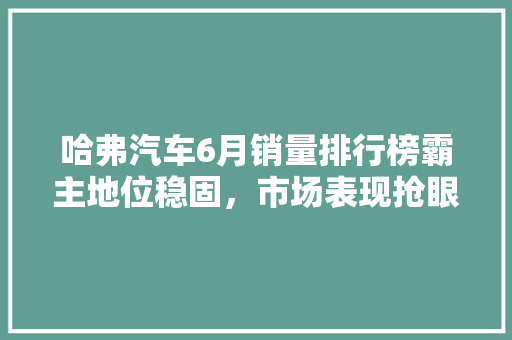 哈弗汽车6月销量排行榜霸主地位稳固，市场表现抢眼 汽车轮胎
