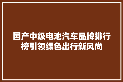 国产中级电池汽车品牌排行榜引领绿色出行新风尚