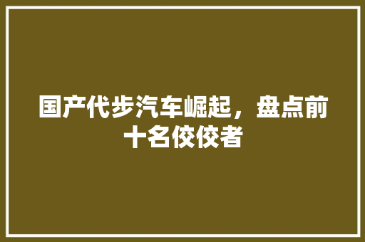 国产代步汽车崛起，盘点前十名佼佼者 新能源汽车