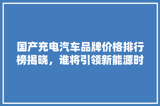 国产充电汽车品牌价格排行榜揭晓，谁将引领新能源时代