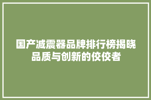 国产减震器品牌排行榜揭晓品质与创新的佼佼者