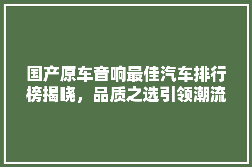 国产原车音响最佳汽车排行榜揭晓，品质之选引领潮流 混合动力车