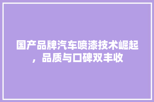 国产品牌汽车喷漆技术崛起，品质与口碑双丰收