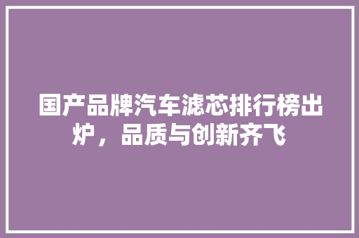 国产品牌汽车滤芯排行榜出炉，品质与创新齐飞