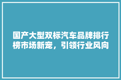 国产大型双标汽车品牌排行榜市场新宠，引领行业风向标 自动驾驶