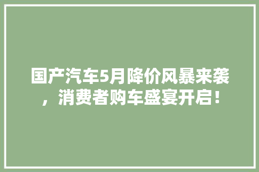 国产汽车5月降价风暴来袭，消费者购车盛宴开启！