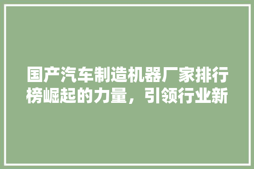 国产汽车制造机器厂家排行榜崛起的力量，引领行业新篇章