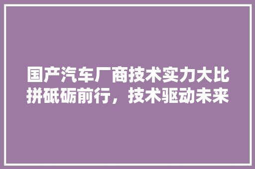 国产汽车厂商技术实力大比拼砥砺前行，技术驱动未来