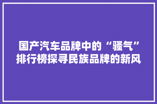 国产汽车品牌中的“骚气”排行榜探寻民族品牌的新风采
