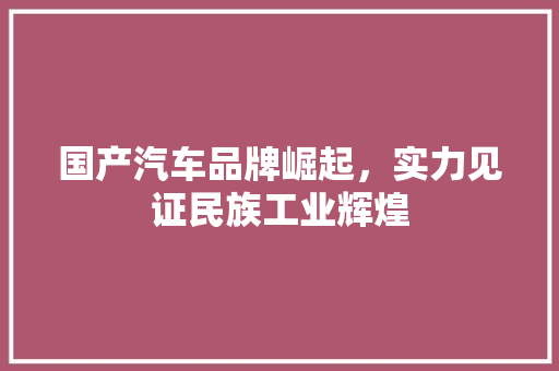 国产汽车品牌崛起，实力见证民族工业辉煌