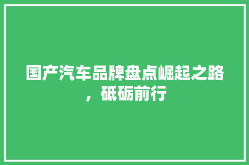 国产汽车品牌盘点崛起之路，砥砺前行