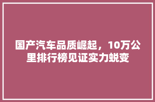 国产汽车品质崛起，10万公里排行榜见证实力蜕变