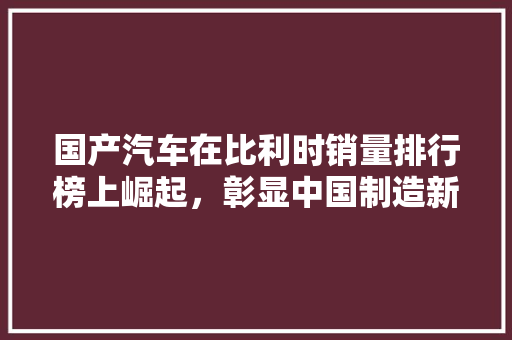 国产汽车在比利时销量排行榜上崛起，彰显中国制造新风采