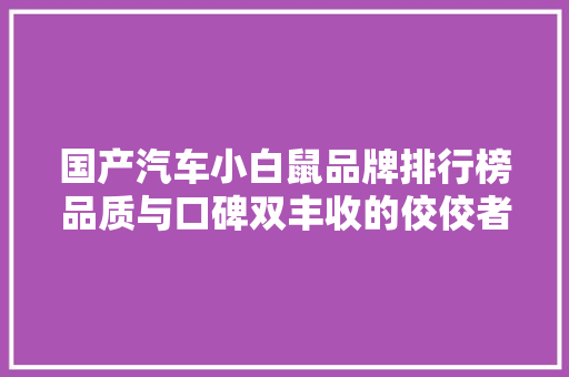 国产汽车小白鼠品牌排行榜品质与口碑双丰收的佼佼者