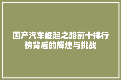 国产汽车崛起之路前十排行榜背后的辉煌与挑战