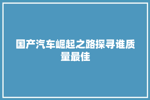 国产汽车崛起之路探寻谁质量最佳