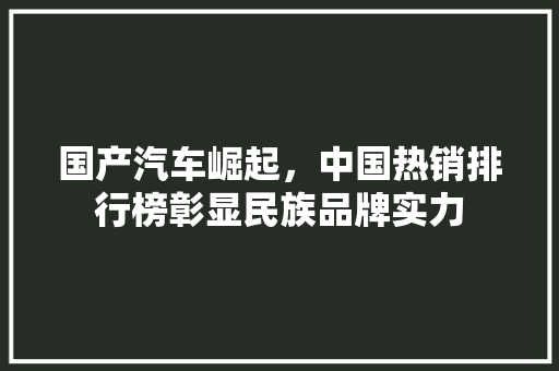 国产汽车崛起，中国热销排行榜彰显民族品牌实力