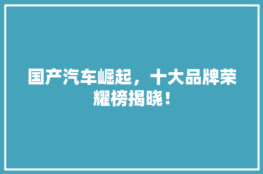 国产汽车崛起，十大品牌荣耀榜揭晓！