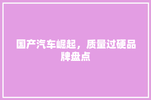 国产汽车崛起，质量过硬品牌盘点 汽车配件