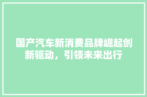 国产汽车新消费品牌崛起创新驱动，引领未来出行